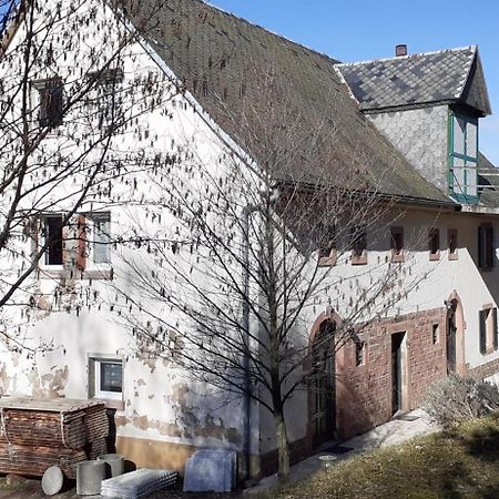Nordiques De La Welche Villa Orbey Exterior photo