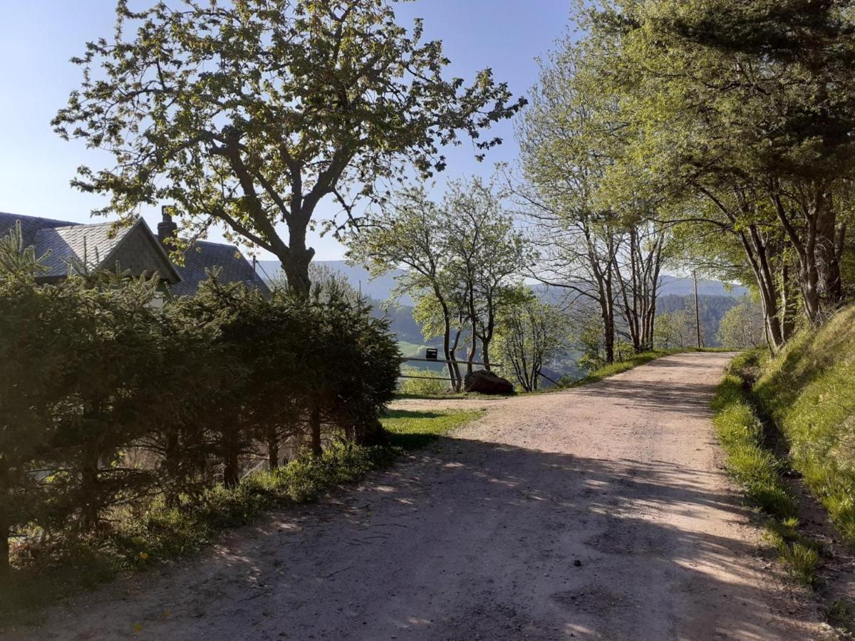 Nordiques De La Welche Villa Orbey Exterior photo